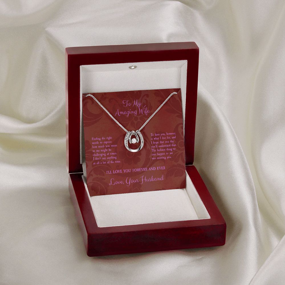 To My Amazing Wife...Lucky In Love Necklace