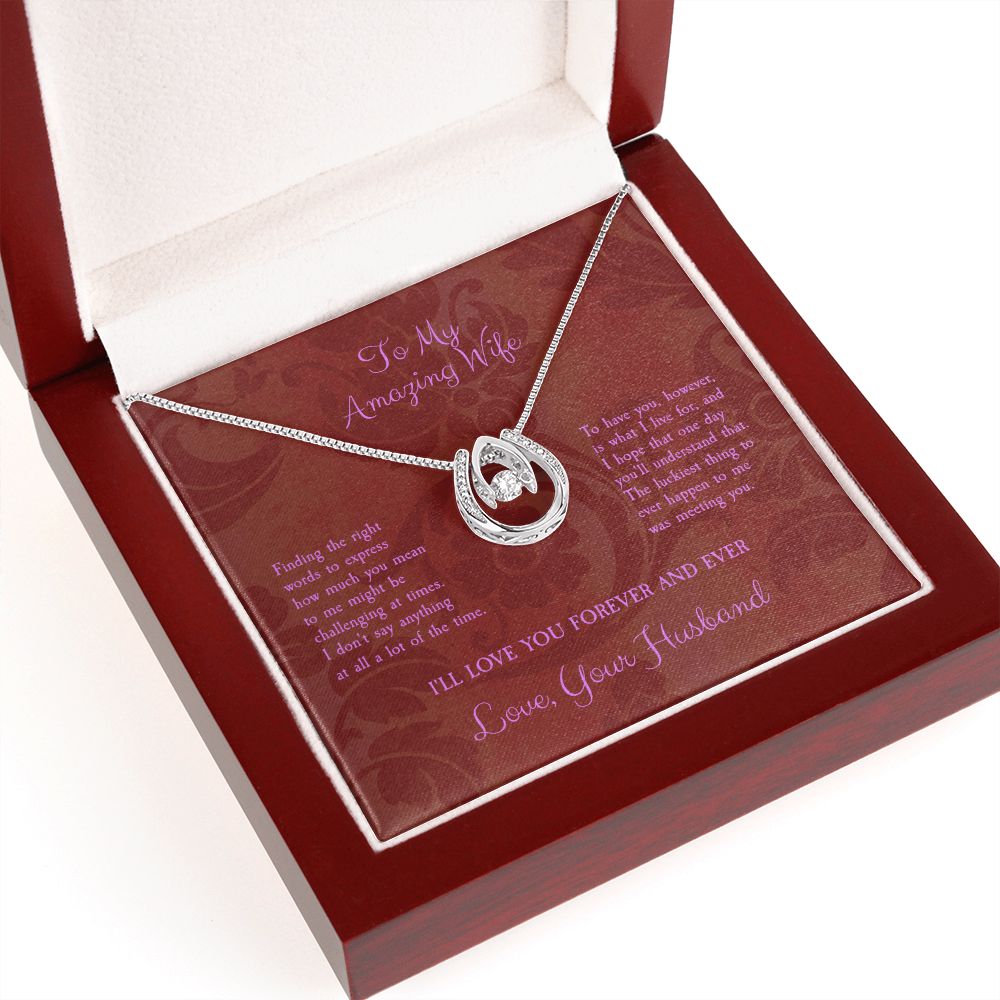 To My Amazing Wife...Lucky In Love Necklace